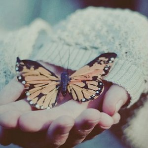 把jiji❌进女班长屁屁里游戏
